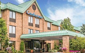 Comfort Inn Utica